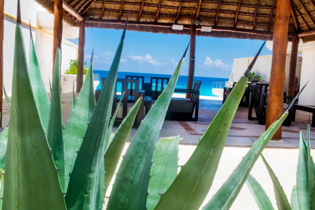 Ocean Front Villa Marlin, Best Location In Hotel Zone #109 Cancún Exteriör bild